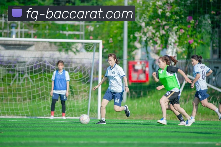 百家乐官网平台生态图